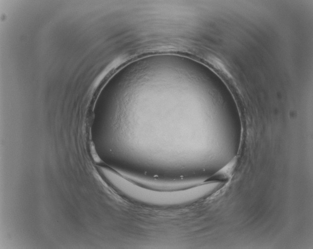 X0000061741181200512231452