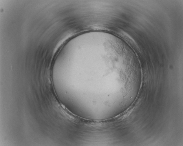 X0000061741182200512231452