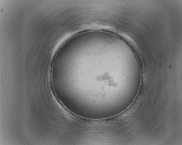 X0000061741183200512231452