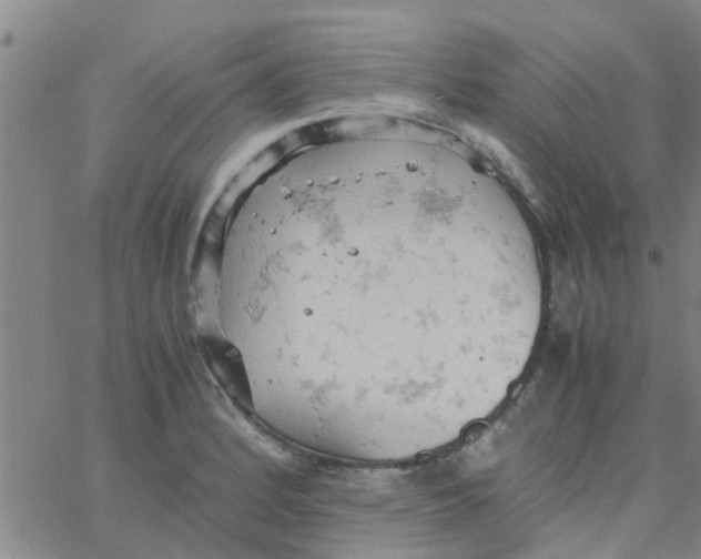 X0000061741184200512231452