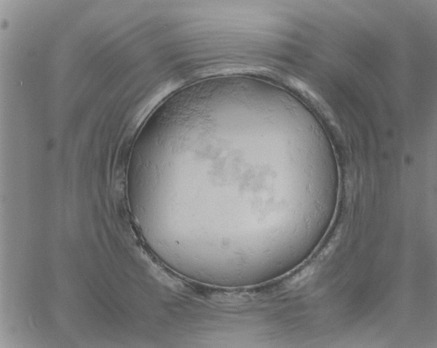 X0000061741185200512231452