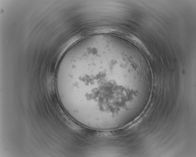 X0000061741186200512231452