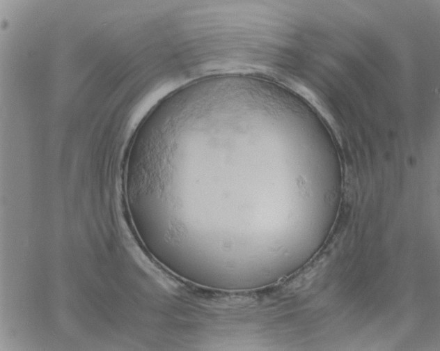 X0000061741187200512231452