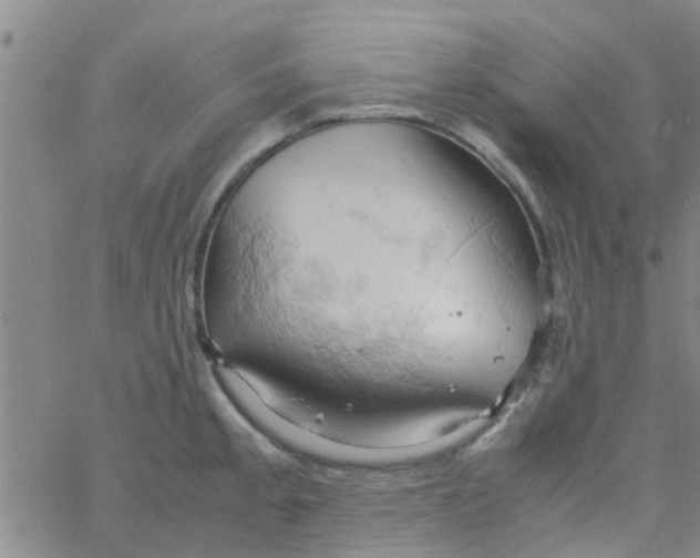 X0000061741189200512231452