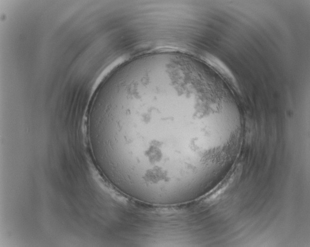 X0000061741190200512231452