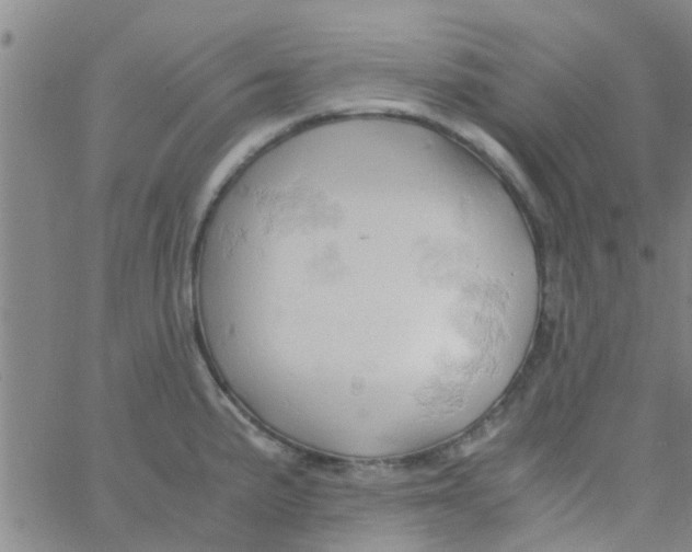 X0000061741191200512231452