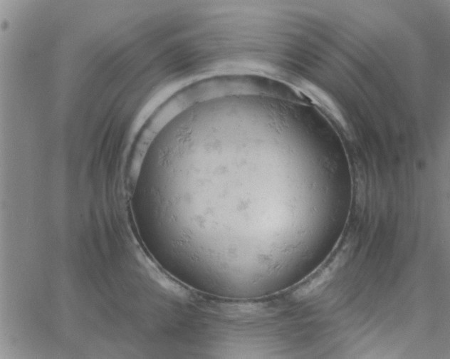 X0000061741192200512231452