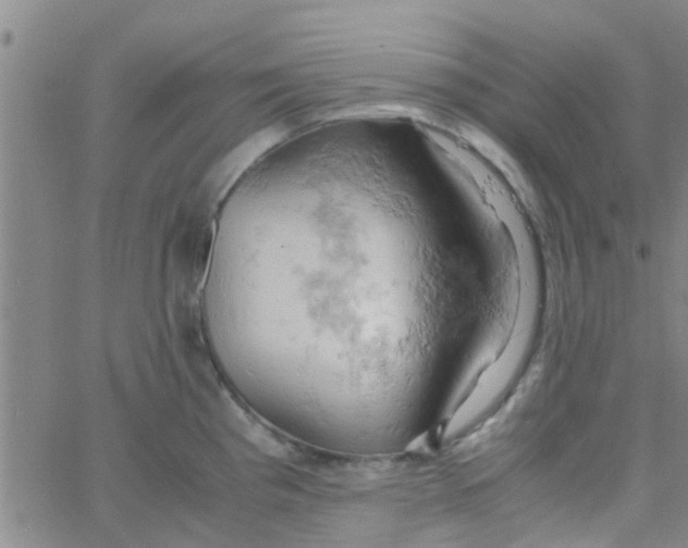 X0000061741193200512231452