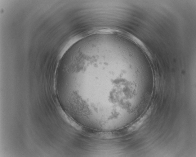 X0000061741194200512231452