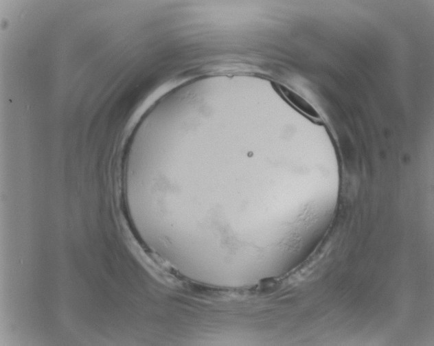 X0000061741195200512231452