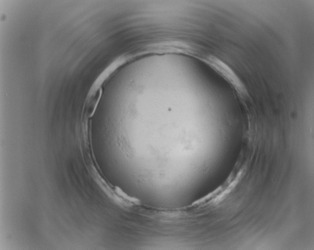 X0000061741196200512231452