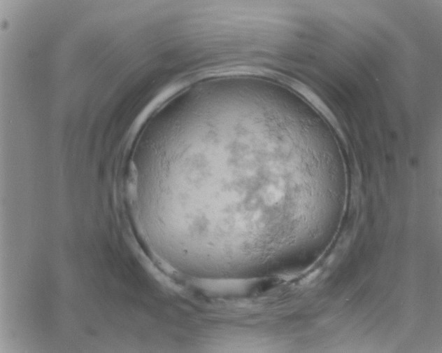 X0000061741197200512231452