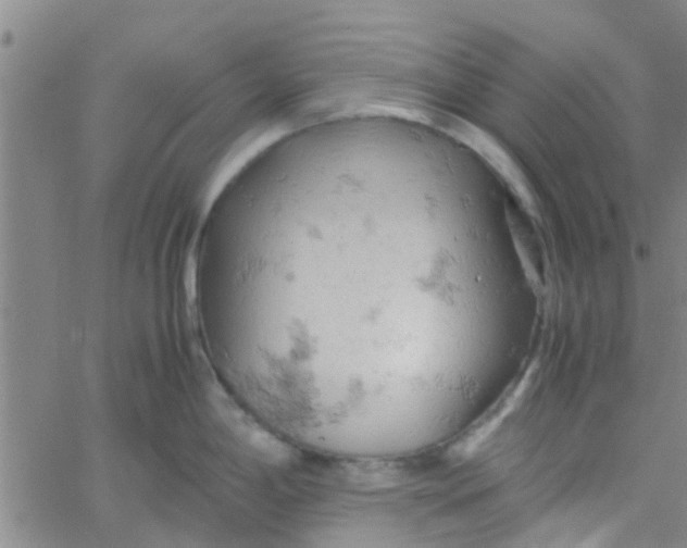 X0000061741198200512231452