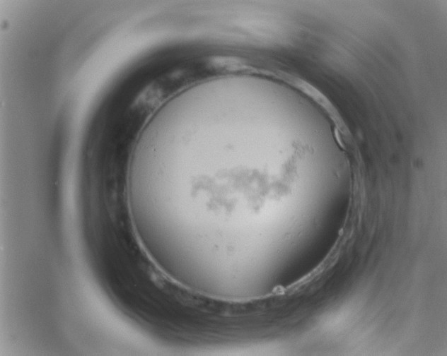 X0000061741199200512231452