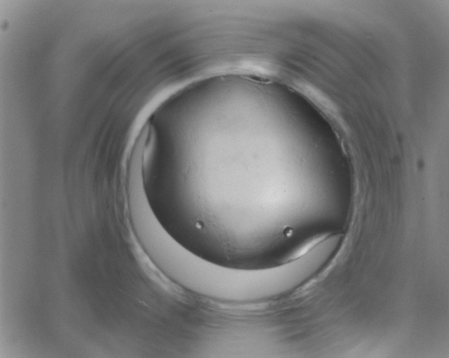 X0000061741200200512231452