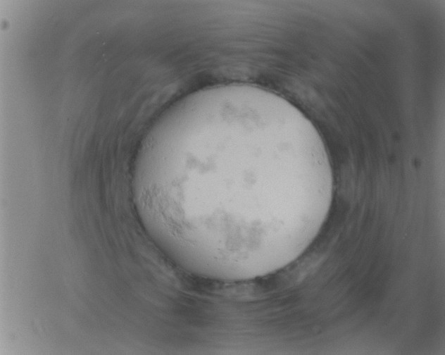 X0000061741201200512231451