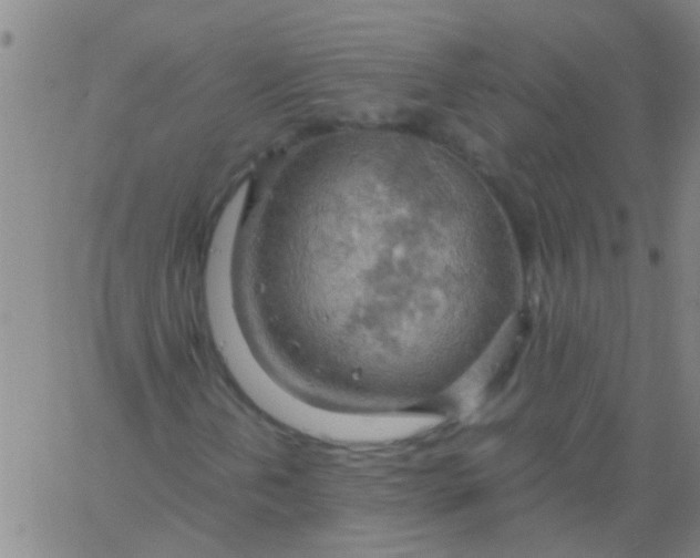 X0000061741202200512231451