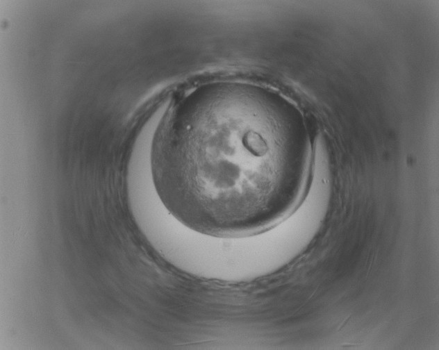 X0000061741206200512231451