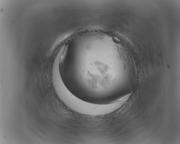 X0000061741207200512231451