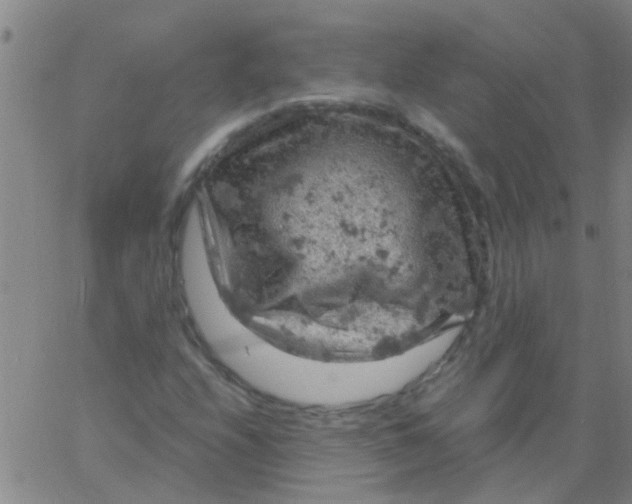 X0000061741208200512231451