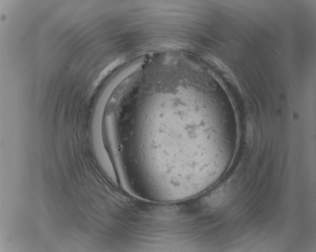 X0000061741210200512231451