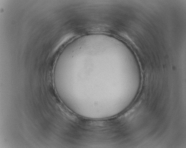 X0000061741211200512231451