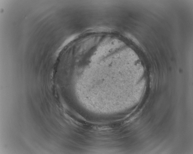 X0000061741213200512231451