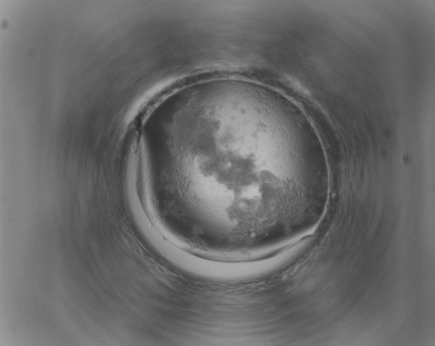 X0000061741214200512231451