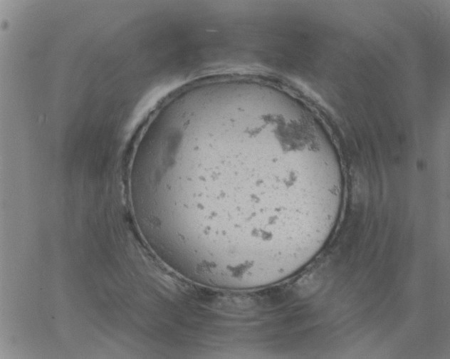 X0000061741215200512231451