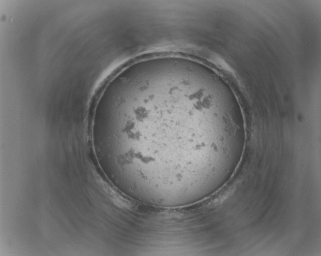 X0000061741216200512231451