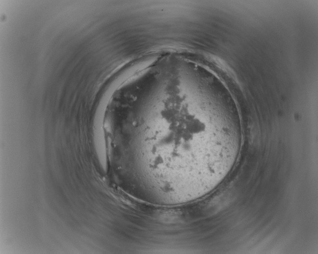 X0000061741217200512231451