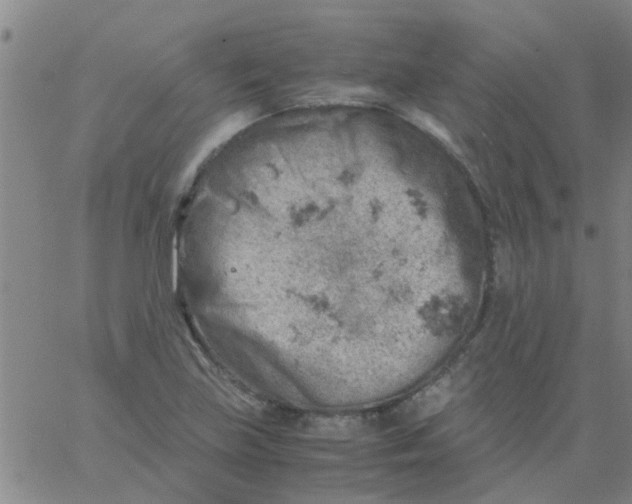 X0000061741219200512231451