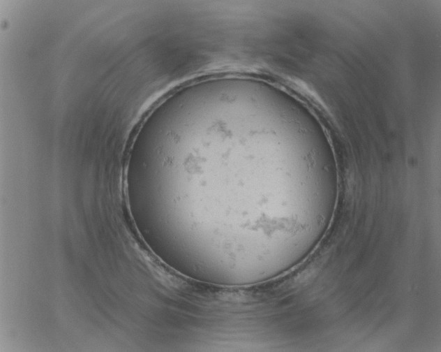 X0000061741220200512231451