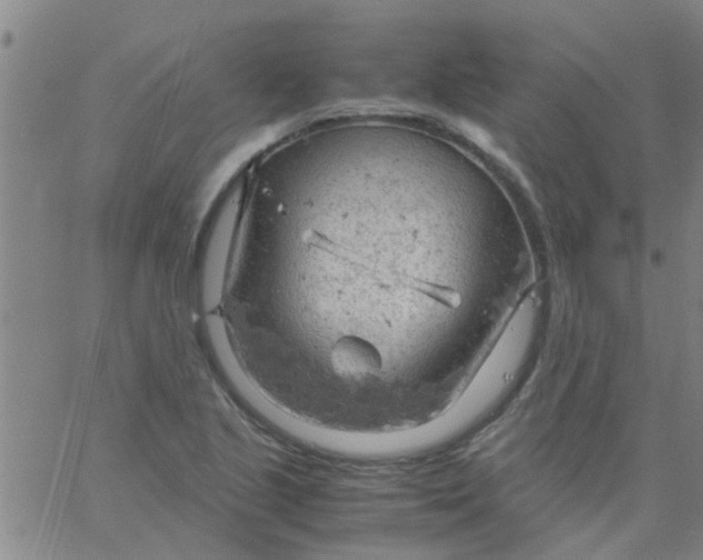 X0000061741221200512231451