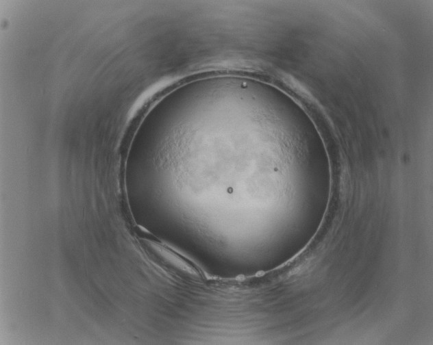 X0000061741222200512231451