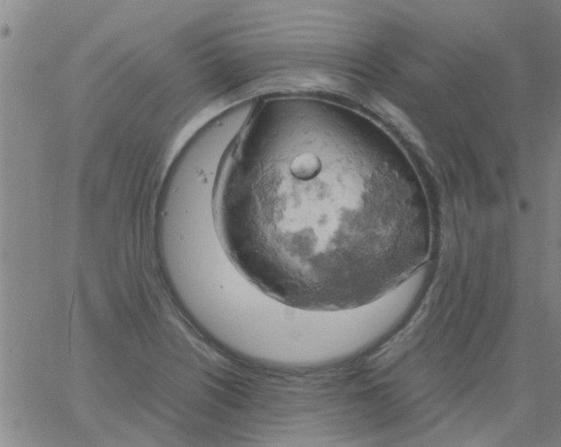 X0000061741226200512231451