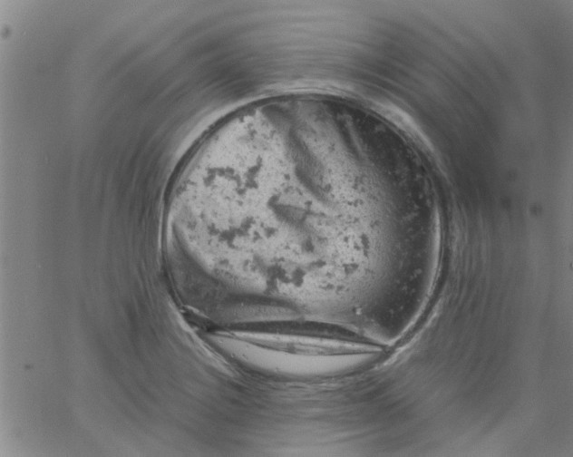 X0000061741228200512231451