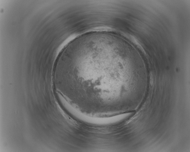 X0000061741229200512231452