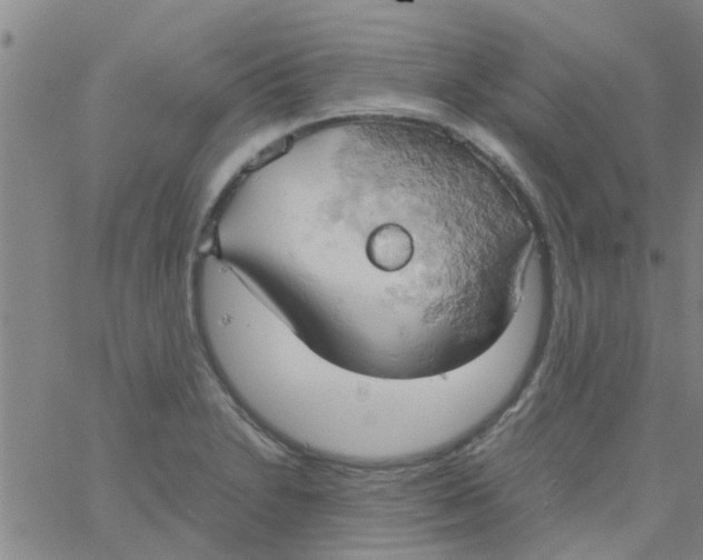 X0000061741230200512231452