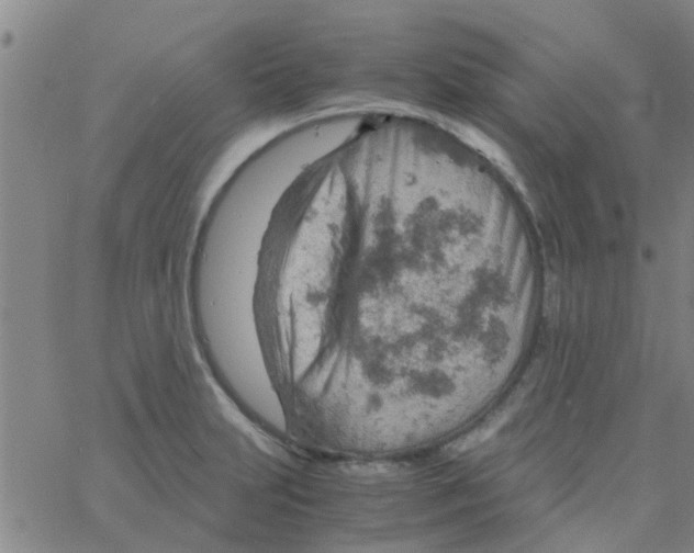 X0000061741231200512231452