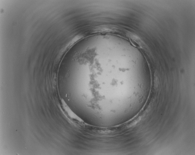 X0000061741233200512231452