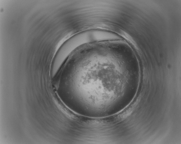 X0000061741234200512231452