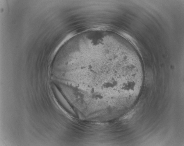 X0000061741235200512231452