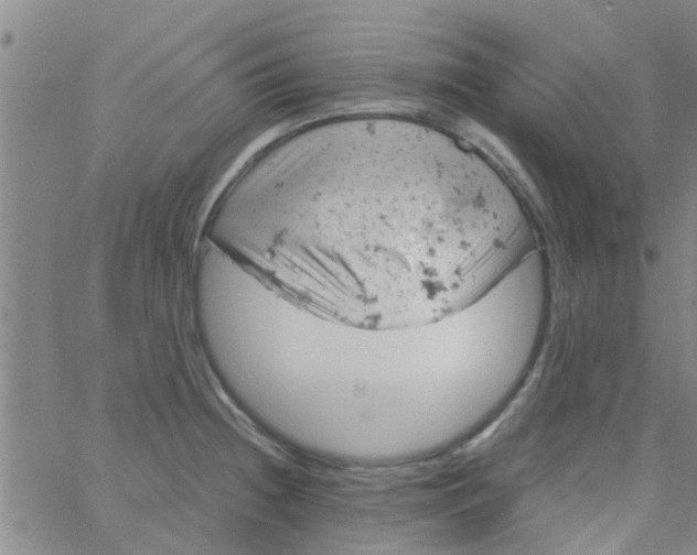 X0000061741236200512231452