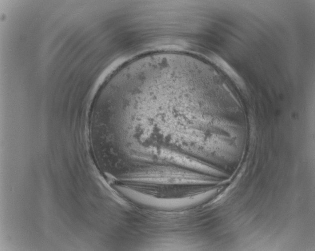 X0000061741240200512231452