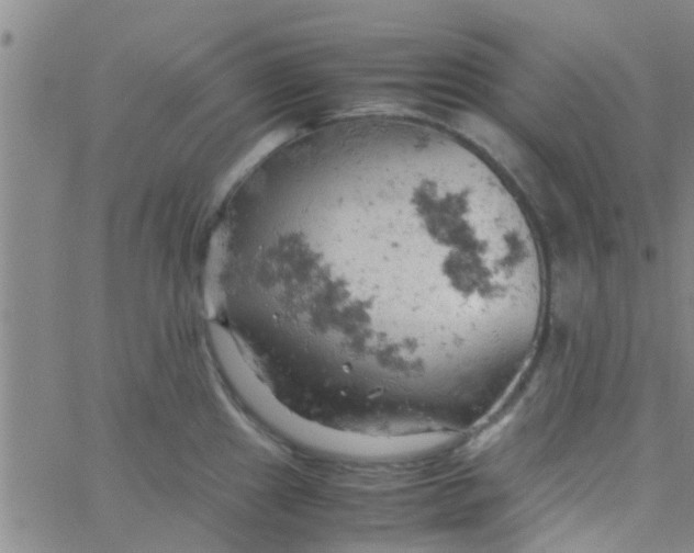 X0000061741241200512231452