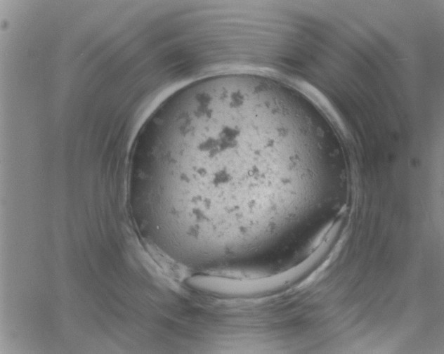 X0000061741244200512231452