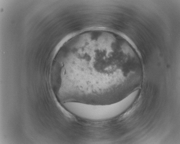 X0000061741245200512231452