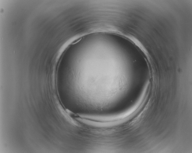 X0000061741246200512231452