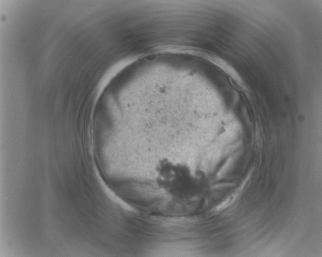 X0000061741247200512231452